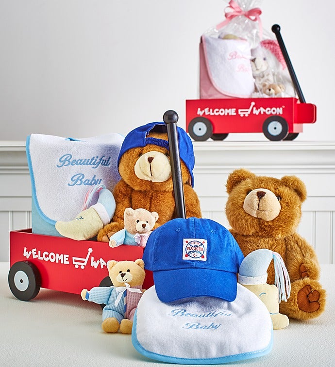 Hello Baby! Welcome Wagon-Boy Or Girl-Boy-Hello Baby! welcome Wagon