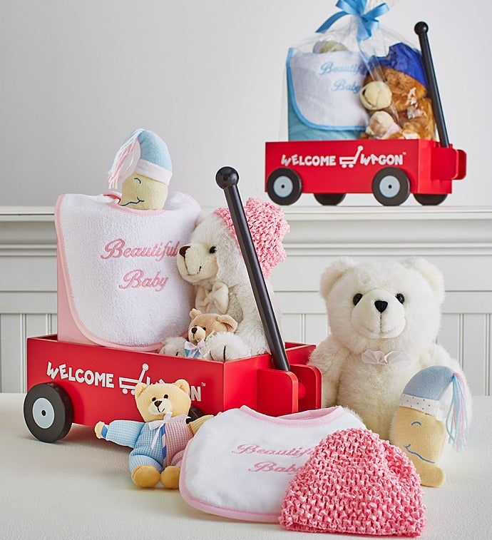 Hello Baby! Welcome Wagon-Boy Or Girl-Girl-Hello Baby! welcome Wagon