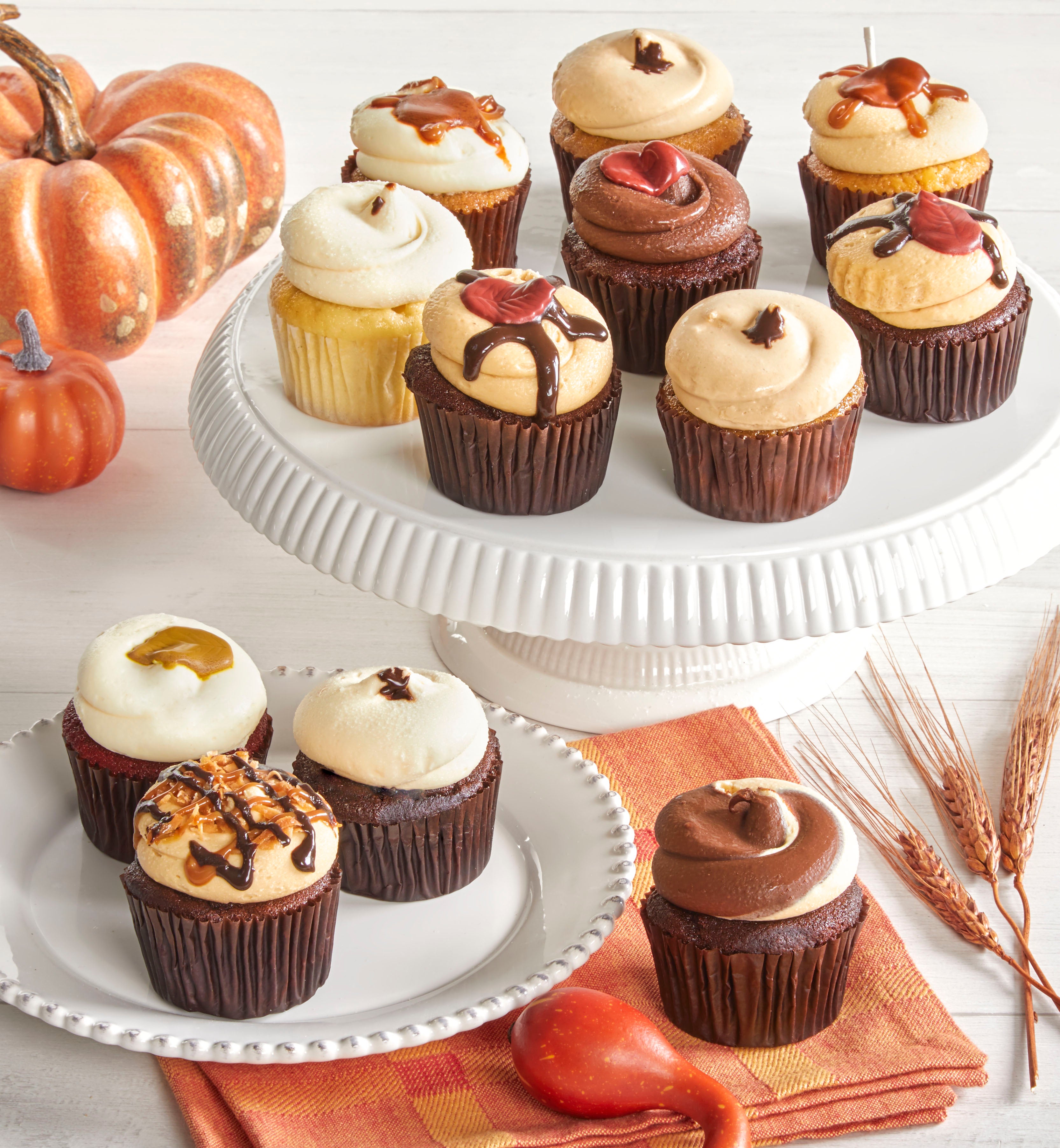 Georgetown Cupcake® Fall Asst 12ct