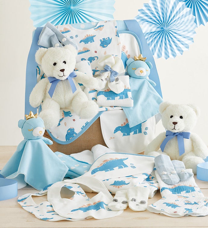 Newborn Boy Comfy Baby Gift Basket